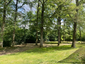 Au cœur des Bois